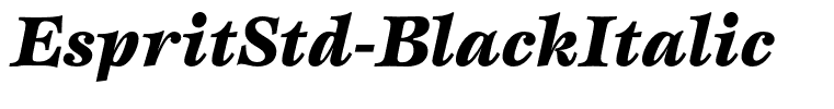 EspritStd-BlackItalic