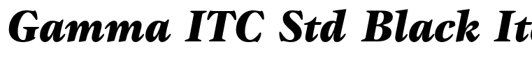 Gamma ITC Std Black Italic