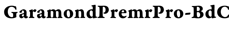 GaramondPremrPro-BdCapt