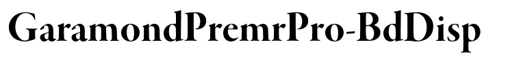 GaramondPremrPro-BdDisp