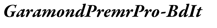 GaramondPremrPro-BdIt