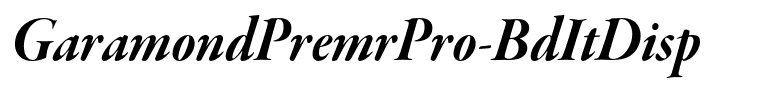 GaramondPremrPro-BdItDisp