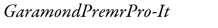 GaramondPremrPro-It