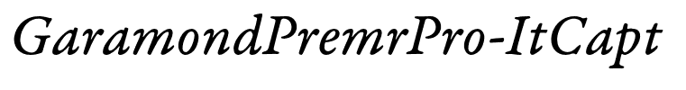 GaramondPremrPro-ItCapt