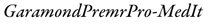 GaramondPremrPro-MedIt