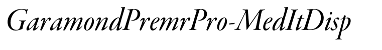 GaramondPremrPro-MedItDisp
