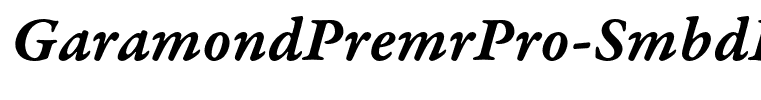 GaramondPremrPro-SmbdItCapt(1)