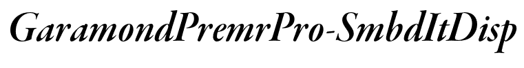 GaramondPremrPro-SmbdItDisp