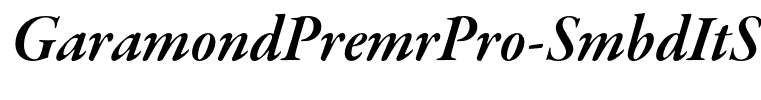 GaramondPremrPro-SmbdItSubh