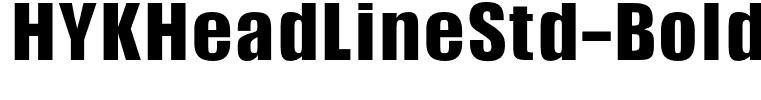 HYKHeadLineStd-Bold