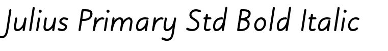 Julius Primary Std Bold Italic