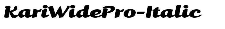 KariWidePro-Italic