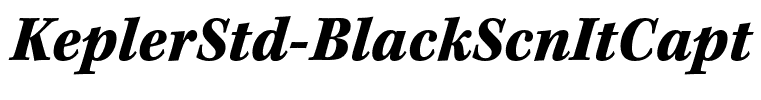 KeplerStd-BlackScnItCapt