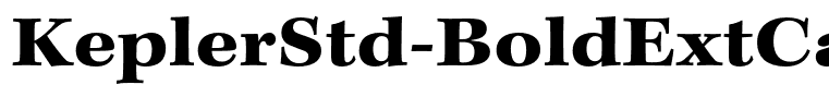 KeplerStd-BoldExtCapt(1)