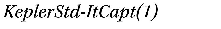 KeplerStd-ItCapt(1)