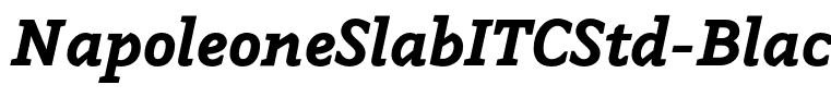 NapoleoneSlabITCStd-BlackIt