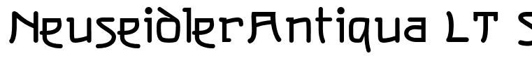 NeuseidlerAntiqua LT Std Bd
