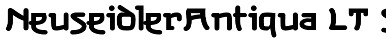 NeuseidlerAntiqua LT Std Hv