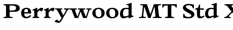 Perrywood MT Std Xbold Xpd