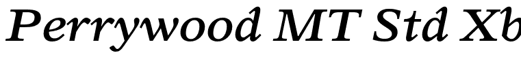 Perrywood MT Std Xbold Xpd It