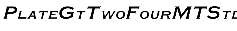 PlateGtTwoFourMTStd-It