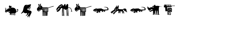 Chamaeleon