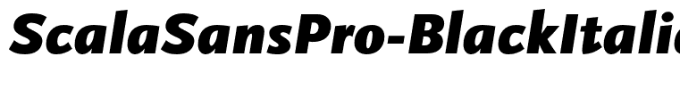 ScalaSansPro-BlackItalic