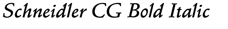Schneidler CG Bold Italic