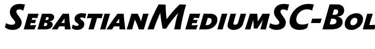 SebastianMediumSC-BoldItalic