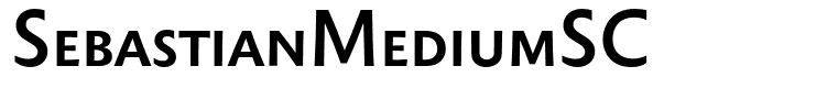 SebastianMediumSC