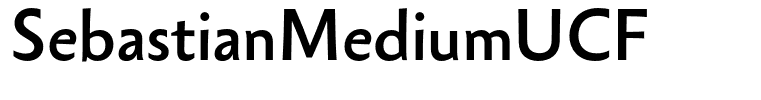 SebastianMediumUCF