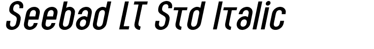 Seebad LT Std Italic