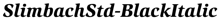 SlimbachStd-BlackItalic