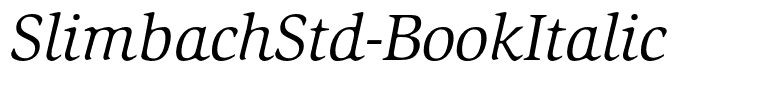 SlimbachStd-BookItalic