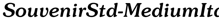 SouvenirStd-MediumItalic(1)