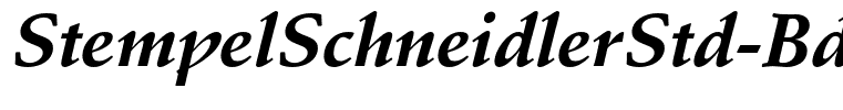 StempelSchneidlerStd-BdIt