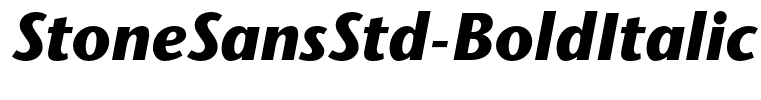 StoneSansStd-BoldItalic