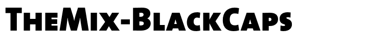 TheMix-BlackCaps