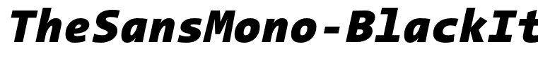 TheSansMono-BlackItalic