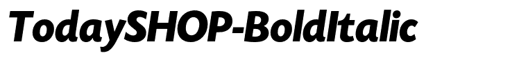 TodaySHOP-BoldItalic