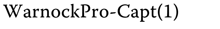 WarnockPro-Capt(1)