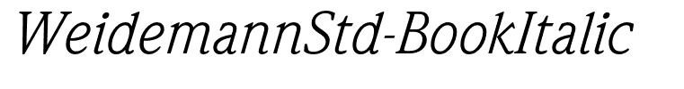 WeidemannStd-BookItalic
