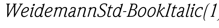 WeidemannStd-BookItalic(1)