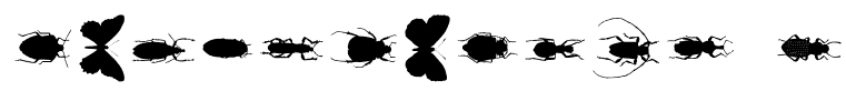 ChileanBugs Regular