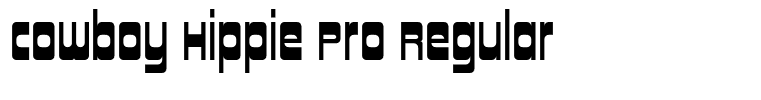 Cowboy Hippie Pro Regular