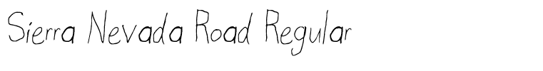 Sierra Nevada Road Regular