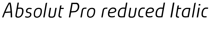 Absolut Pro reduced Italic[2]
