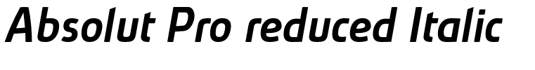 Absolut Pro reduced Italic[3]