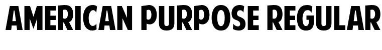 American Purpose Regular