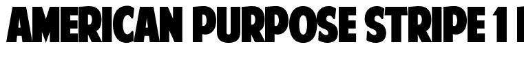 American Purpose STRIPE 1 Regular[1]